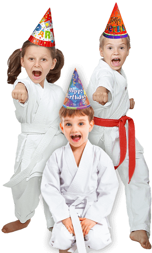 Martial Arts Birthday Party for Kids in Rockwall TX - Birthday Punches Page Banner